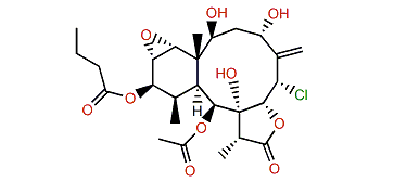 Briarenolide X